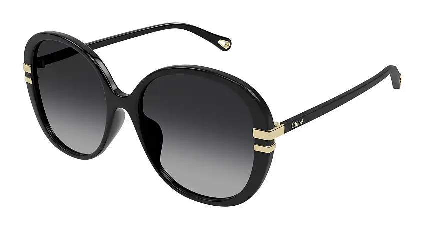 Chloé CH0207SK 001 58