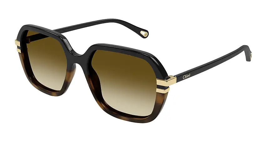 Chloé CH0204S 003 57