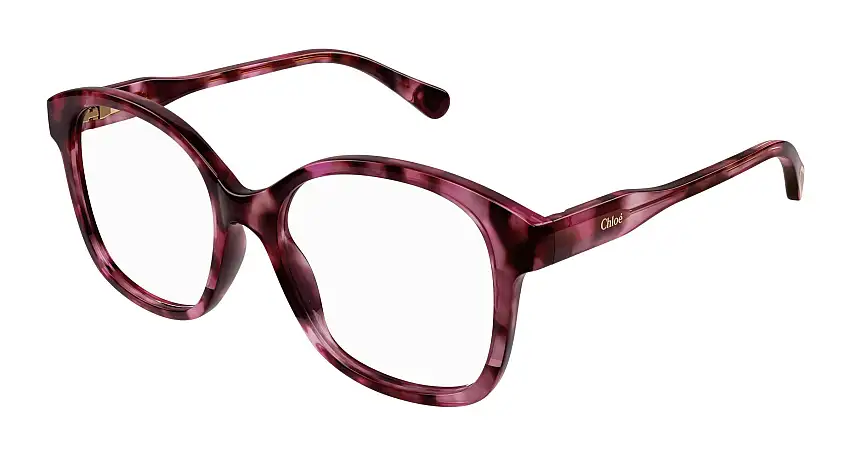 Chloé CC0013O 006 48