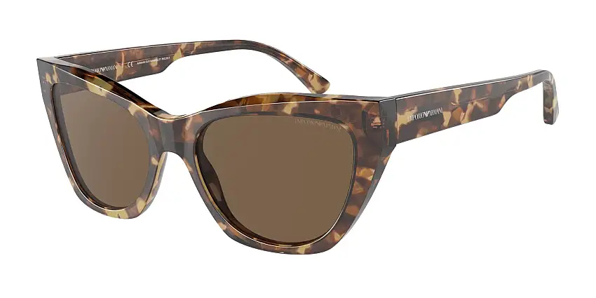 Occhiali da sole EMPORIO ARMANI EA4176 502573