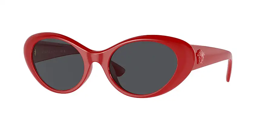 Occhiali da sole VERSACE VE4455U 534487