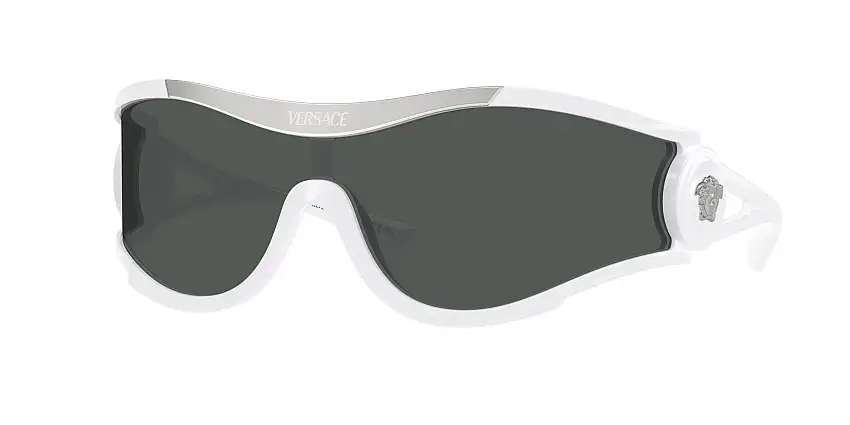 Occhiali da sole VERSACE VE4475 314/87