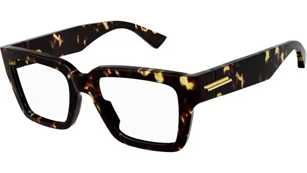 BV1153O shiny tortoise