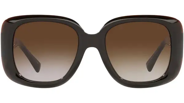 VE4411 532413 brown