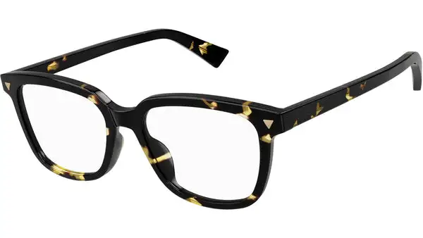 BV1229OA 002 shiny tortoise