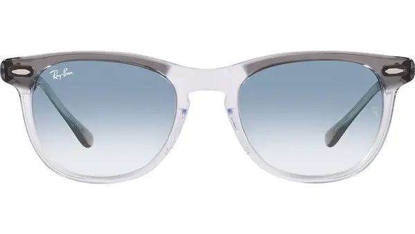Eagleeye RB2398 13553F grey