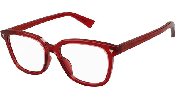 BV1229OA 004 shiny burgundy