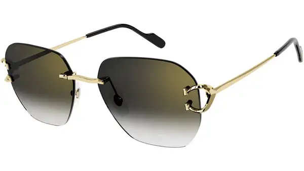 CT0394S 001 shiny gold