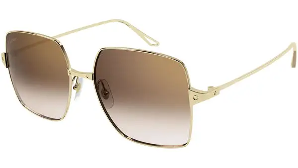 CT0297S 002 shiny gold