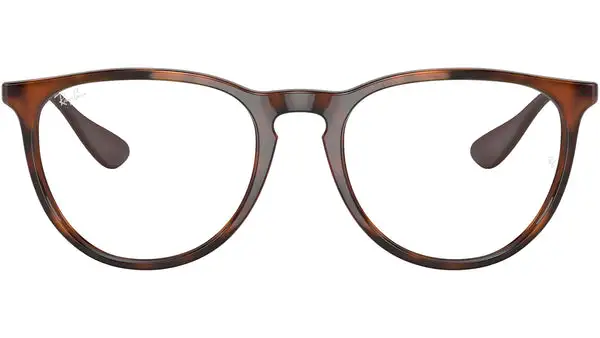 Erika RB4171 865/SB rubber havana