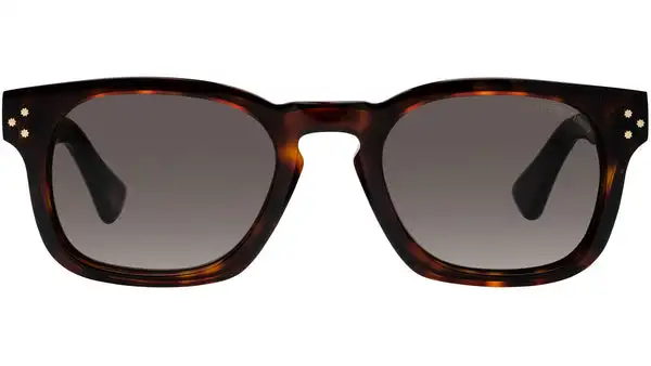 9768 Sun 02 dark turtle