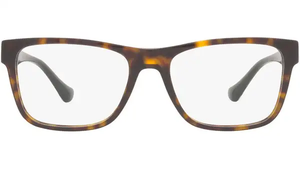 VE3303 108 tortoise