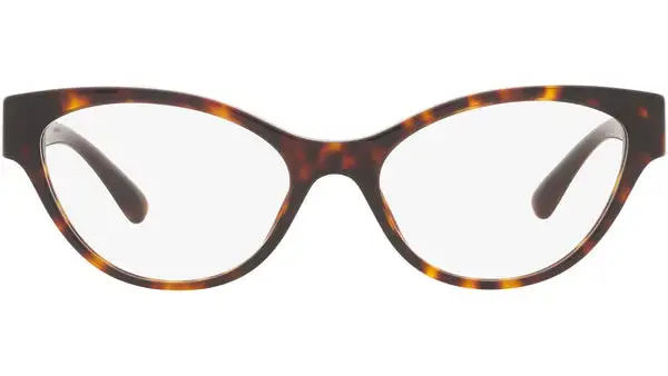 VE3305 108 tortoise