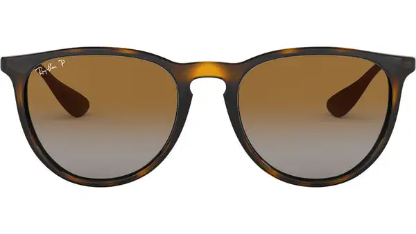 Erika RB4171F 710/T5 light havana