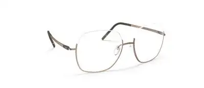 Occhiali Silhouette Eyewear Dynamic Dawn 4566-4566-60 40 Warm Brown