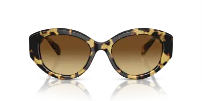 Occhiali da Sole Swarovski SK6005-100913 Havana Medio