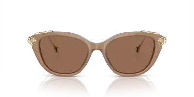 Occhiali da Sole Swarovski SK6010-2002OK Beige Opalino
