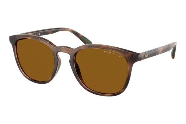 Polo PH4222U (500383)