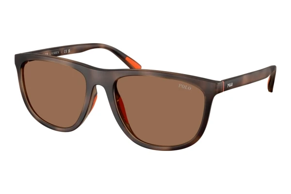 Polo PH4231U (597473)