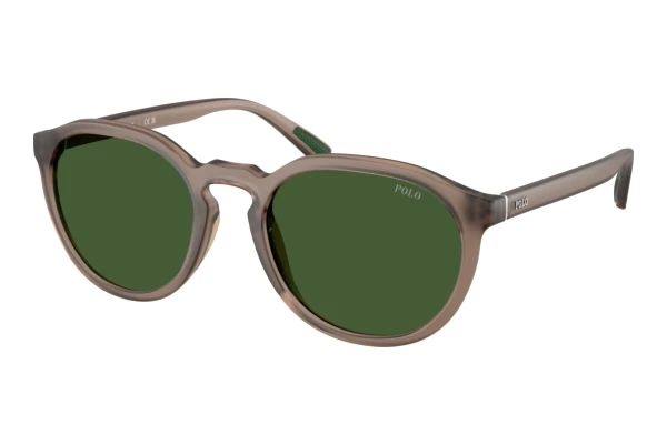 Polo PH4232U (631371)