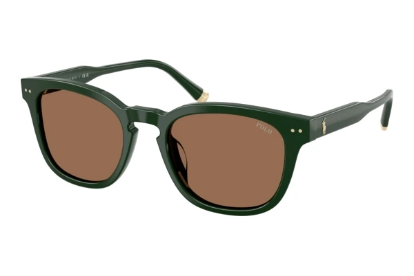 Polo PH4242U (614073)