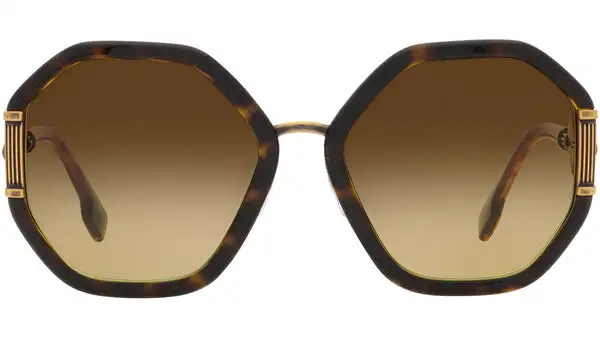 VE4413 108/13 tortoise