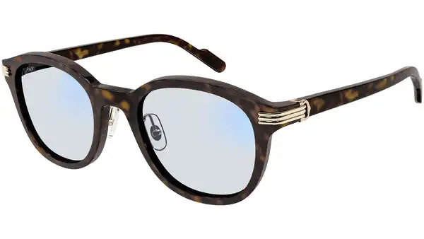 CT0302S 009 dark havana
