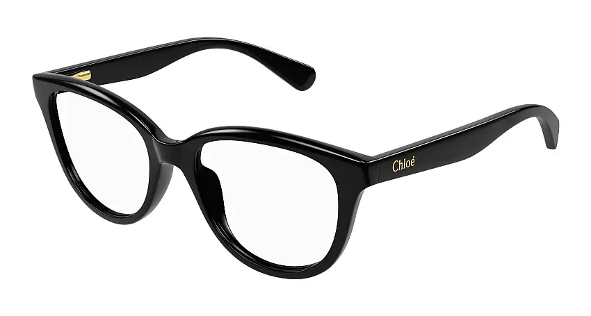 Chloé CC0021O 001 47