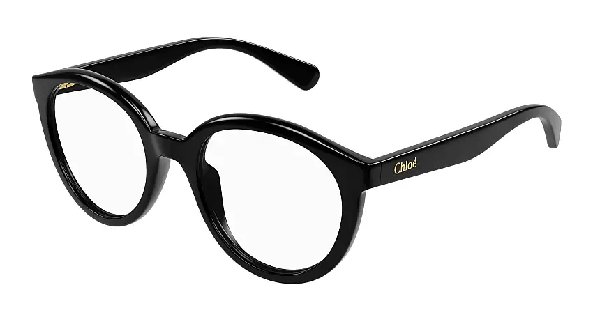 Chloé CC0022O 001 47