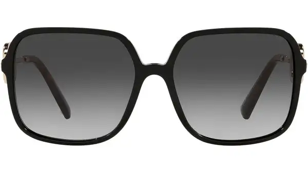 VA4101 50018G black