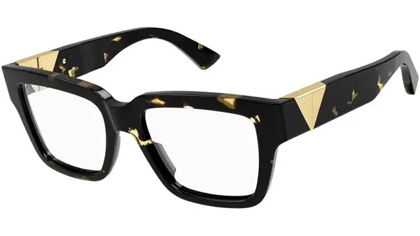 BV1222O 002 shiny tortoise