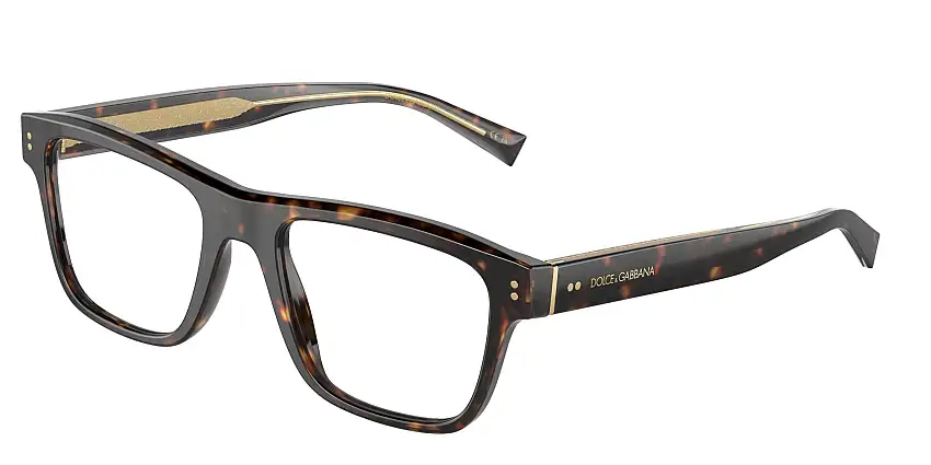 Dolce & Gabbana DG3362 502 53