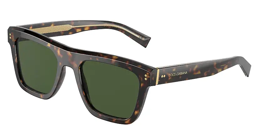 Dolce e Gabbana DG4420 502/71 52