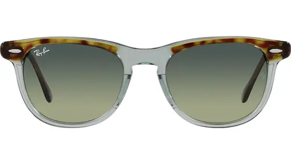 Eagleeye RB2398 1376BH tortoise