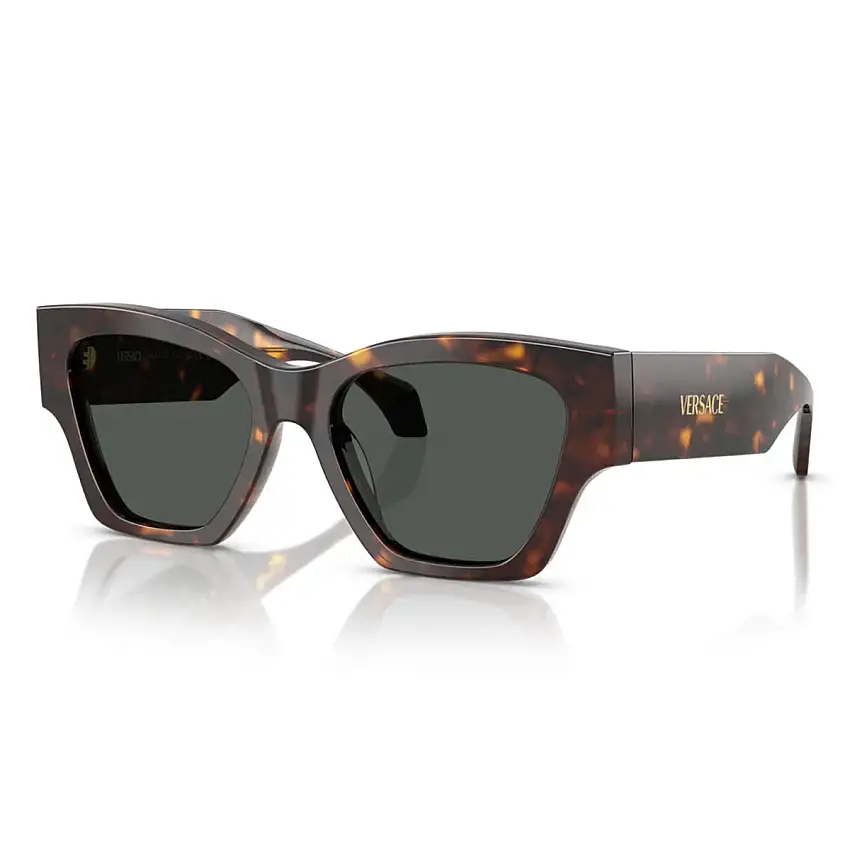 Occhiali da Sole Versace VE4492U 108/87