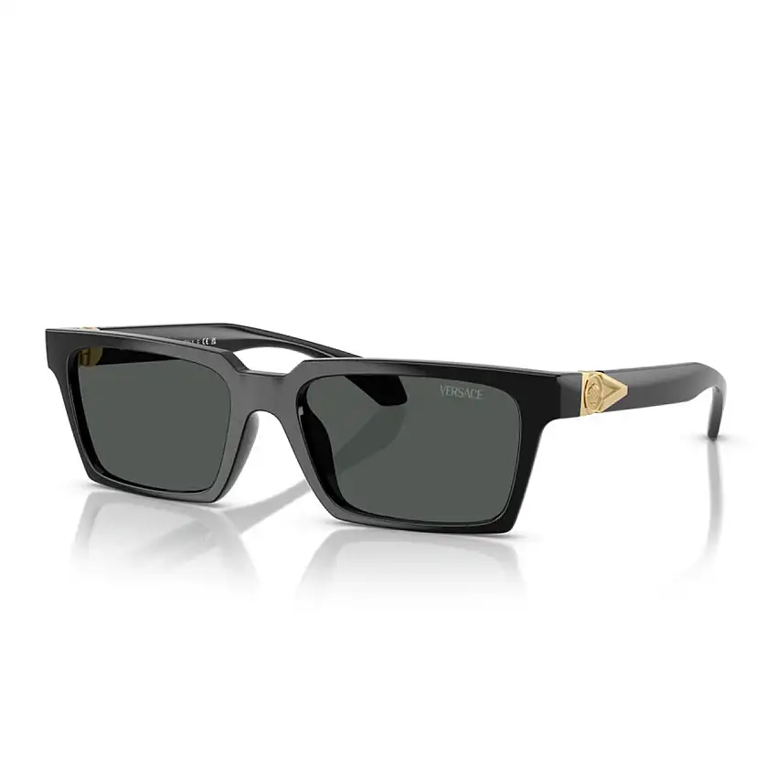 Occhiali da Sole Versace VE4490U GB1/87