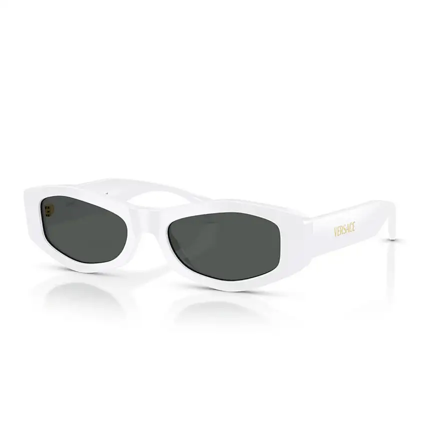 Occhiali da Sole Versace VE4487 314/87
