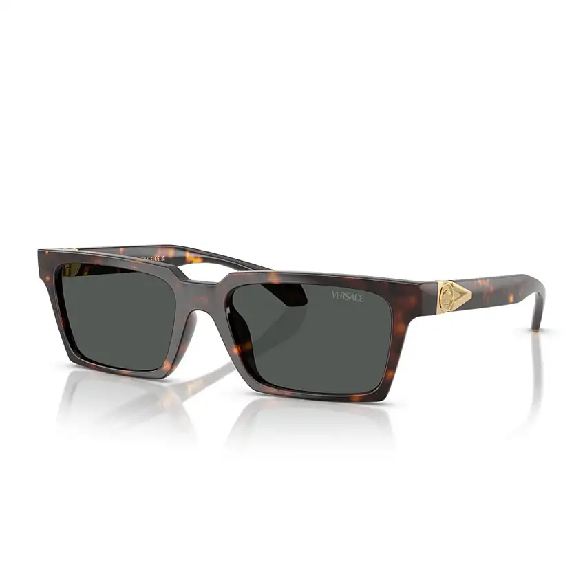 Occhiali da Sole Versace VE4490U 108/87