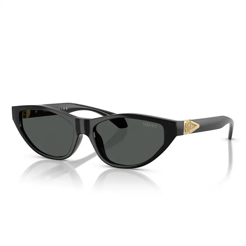 Occhiali da Sole Versace VE4491U GB1/87