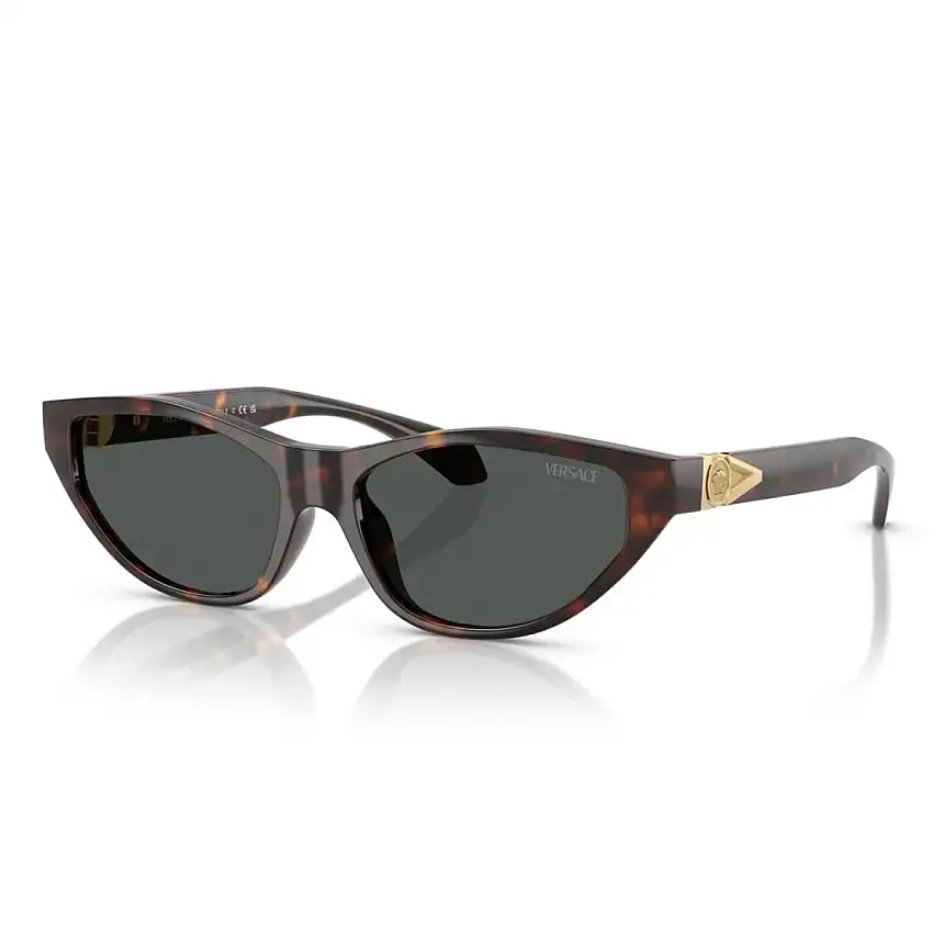 Occhiali da Sole Versace VE4491U 108/87