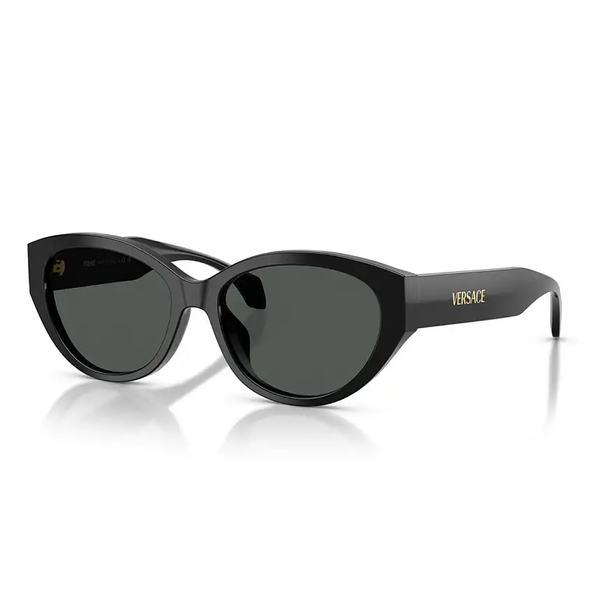 Occhiali da Sole Versace VE4495D GB1/87