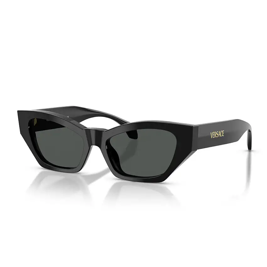 Occhiali da Sole Versace VE4488U GB1/87