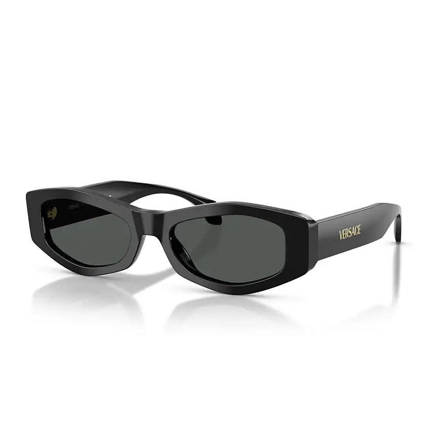 Occhiali da Sole Versace VE4487 GB1/87