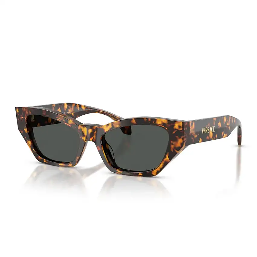 Occhiali da Sole Versace VE4488U 551487