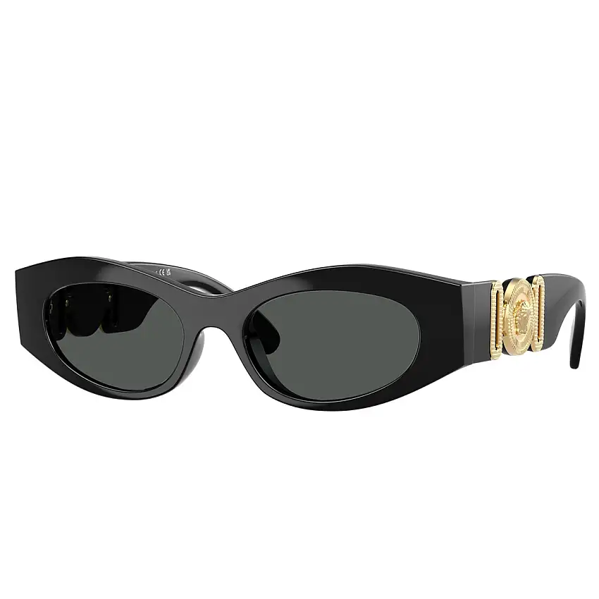 Occhiali da Sole Versace VE4480U GB1/87