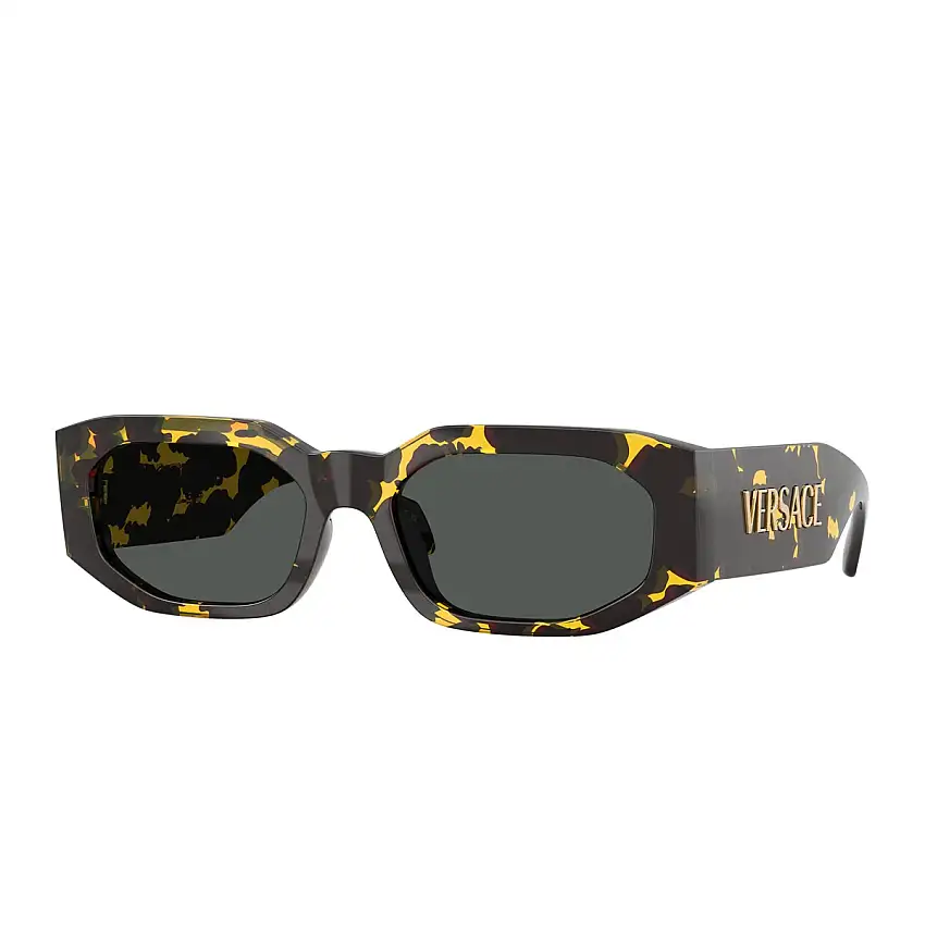 Occhiali da Sole Versace VE4489U 552887