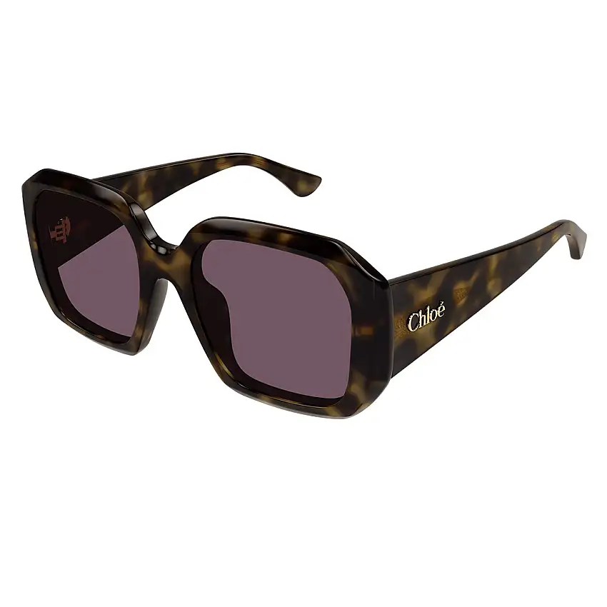 Occhiali da Sole Chloé CH0300S 002