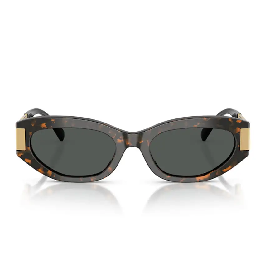 Occhiali da Sole Versace VE4501U 552887
