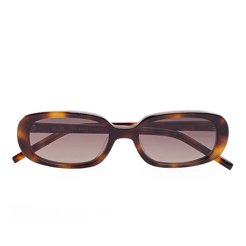 Occhiali da Sole Kaleos Stirling C3