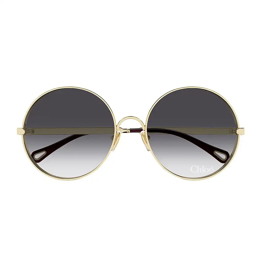 Occhiali da Sole Chloé CH0321S 005